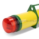 Муляж р/а АРИОН